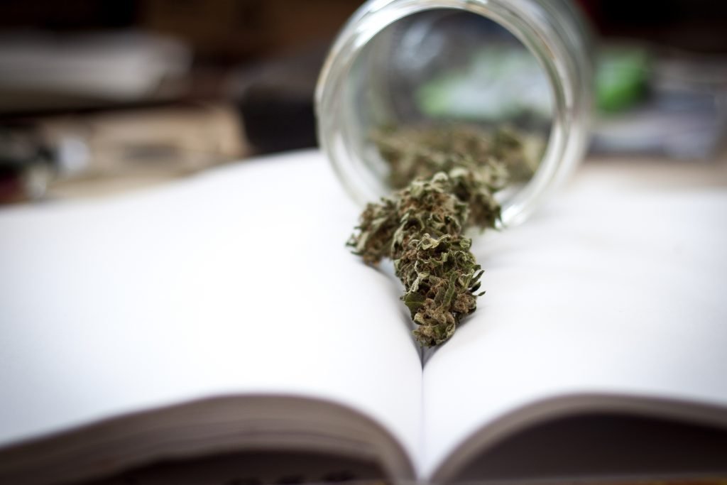 Cannabis buds on a book