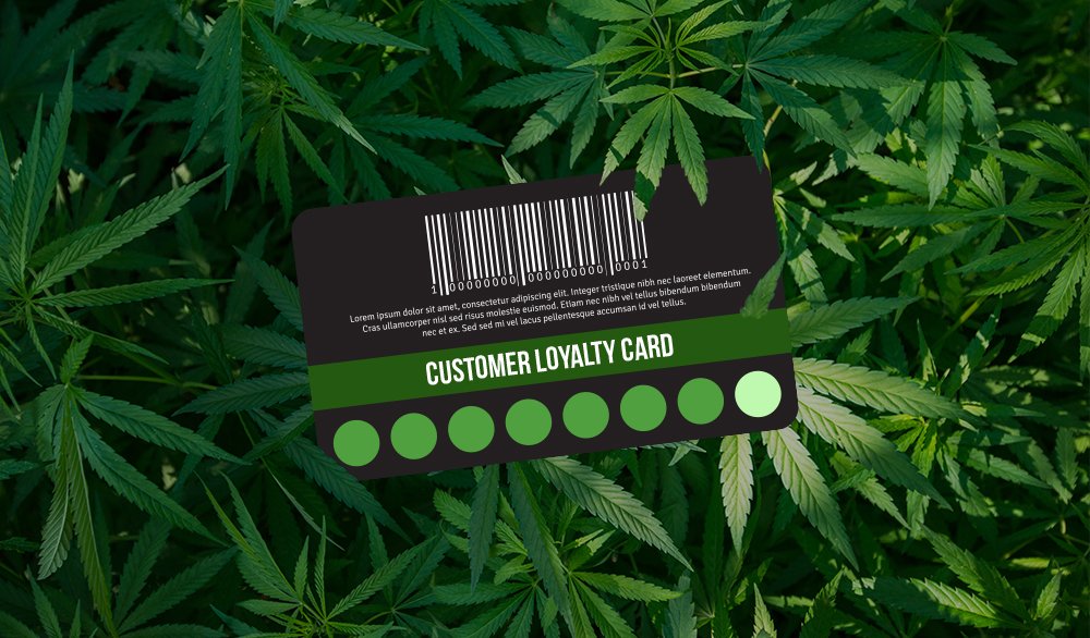 Customer Loyalty in the MJ industry