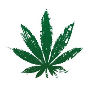 Hand drawn marijuana leaf