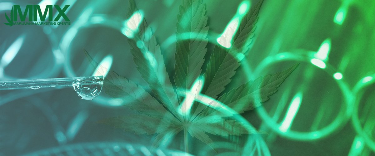 Industry Trends Terpene Isolation Marijuana Marketing Xperts