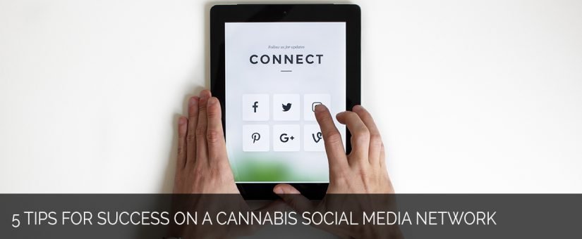 5 Tips for Success on A Cannabis Social Media Network