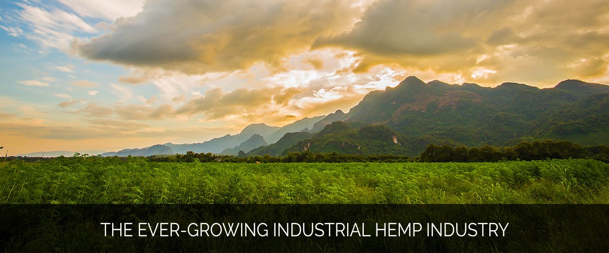 The Ever-Growing Industrial Hemp Industry_MMX