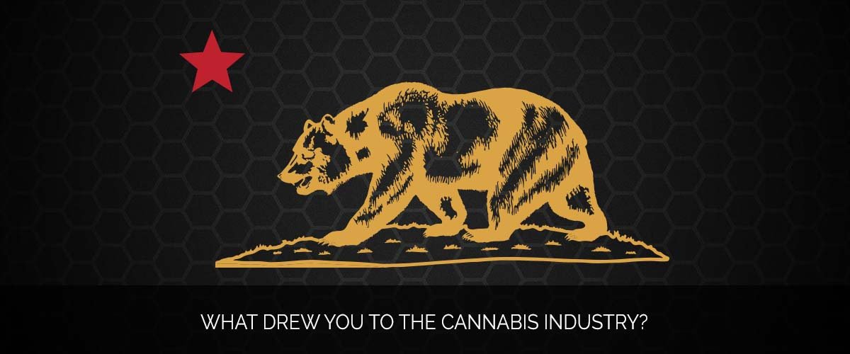 What drew you to the cannabis industry_