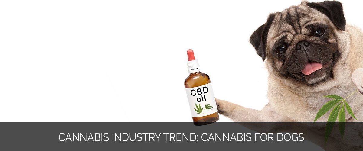 Cannabis Industry Trend- Cannabis for Dogs - Marijuana Marketing Xperts