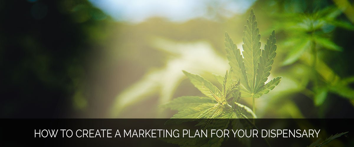 How to Create a Marketing Plan for Your Dispensary pArt 3 - MMX