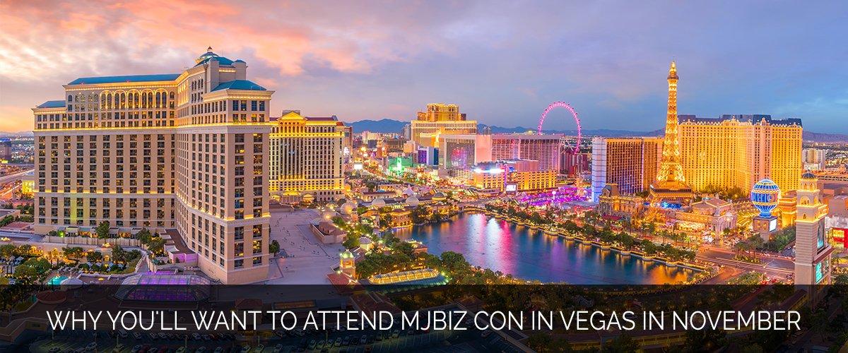 Why You'll Want to Attend MJBiz Con in Vegas in November - Marijuana Marketing Xperts