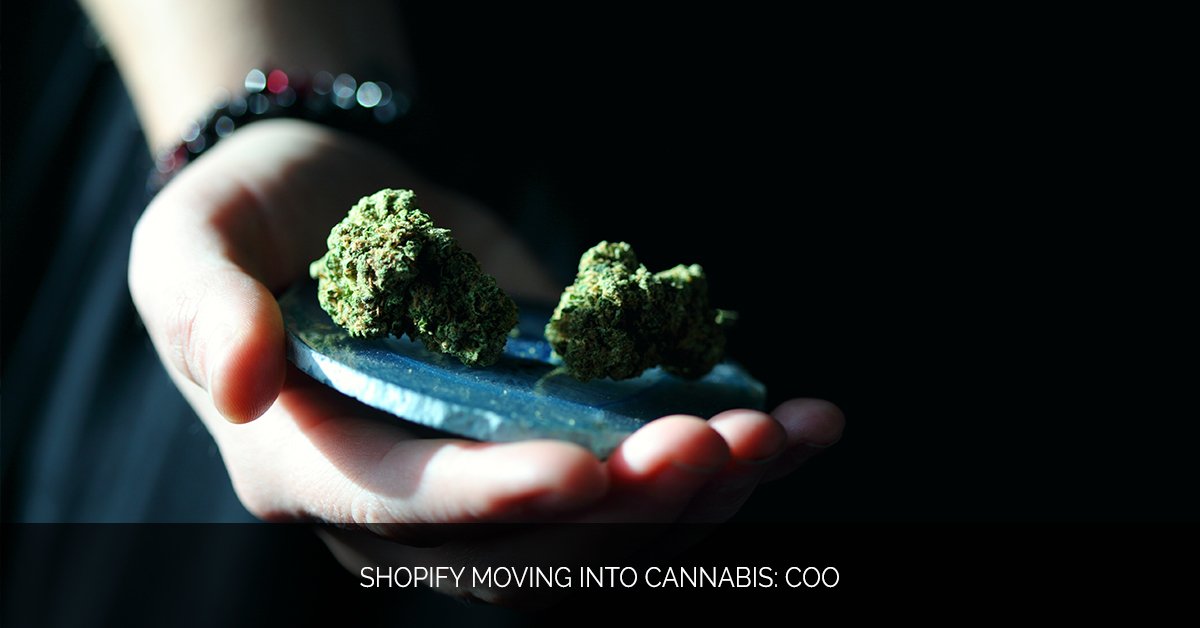 Shopify Moving into Cannabis- COO - Marijuana Marketing Xperts