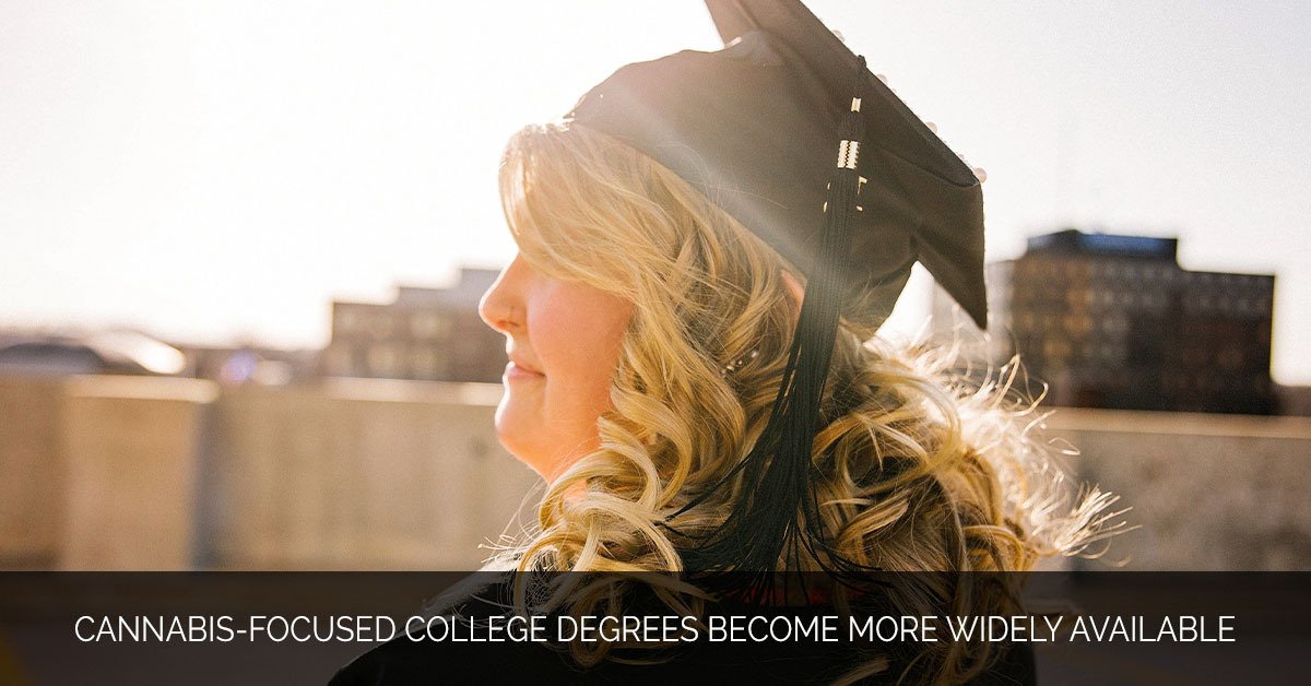 Cannabis-Focused College Degrees Become More Widely Available