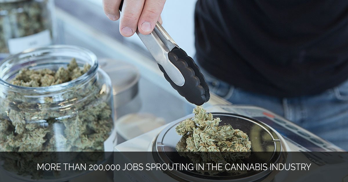 More than 200,000 Jobs Sprouting in the Cannabis Industry