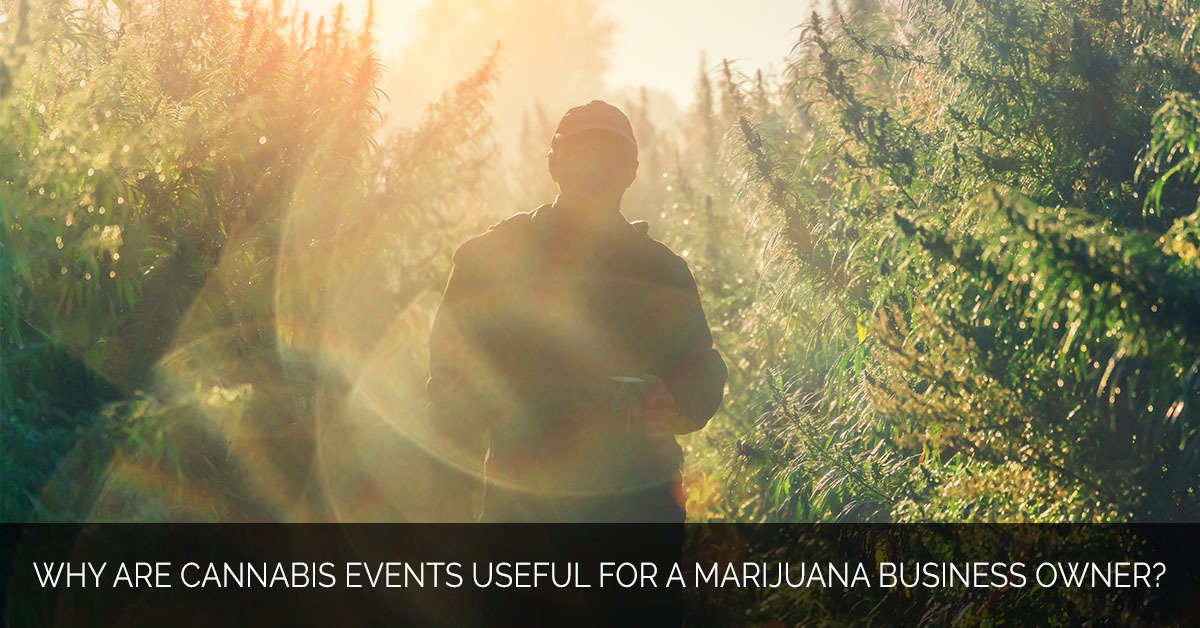 Why are cannabis events useful for a marijuana business owner - MMX