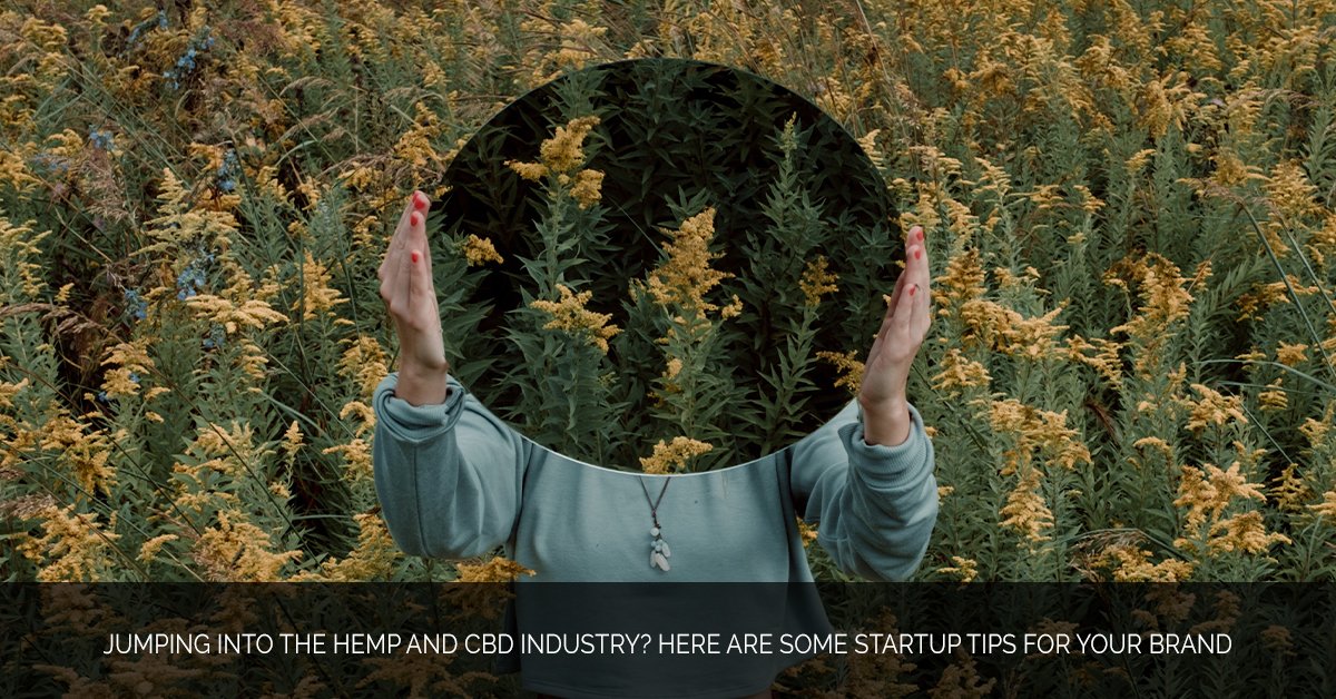 Jumping into the Hemp and CBD Industry_