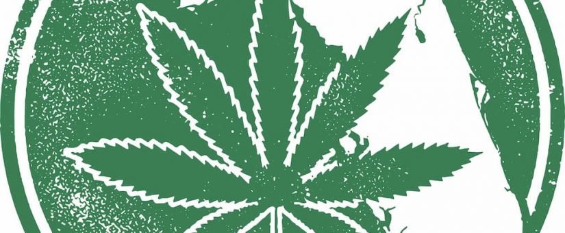 Florida’s Marijuana Market Is On The Rise – Tips to Make Your Dispensary Stand Out