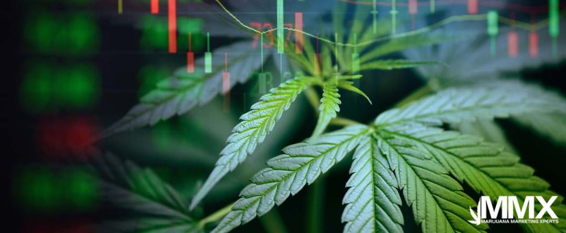 How to Find Cannabis Investors