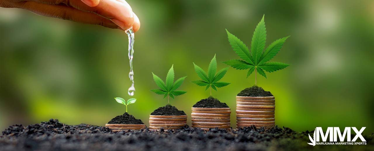 How to Find Cannabis Investors Marijuana Marketing Xperts