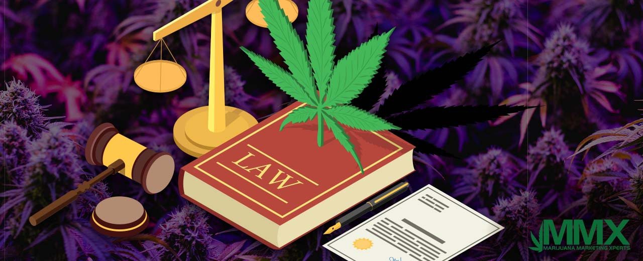 MMX-Marijuana Legalization and Public Perception