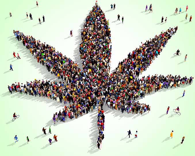 Aerial view of Marjuana leaf composed of people