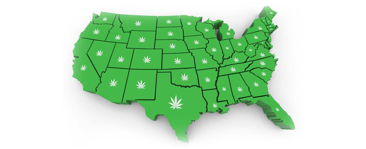 Image of the united states map in green with marijuana leafs on all states