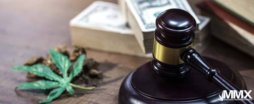 Where Is Marijuana Legal? A Guide to Marijuana Legalization