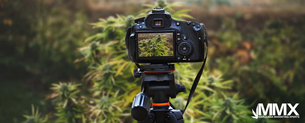 H3-Use stable support to eliminate any blur