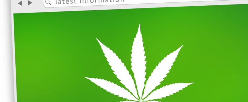 Weedmaps Vs. Leafly: Which is Better For Your CannaBusiness?