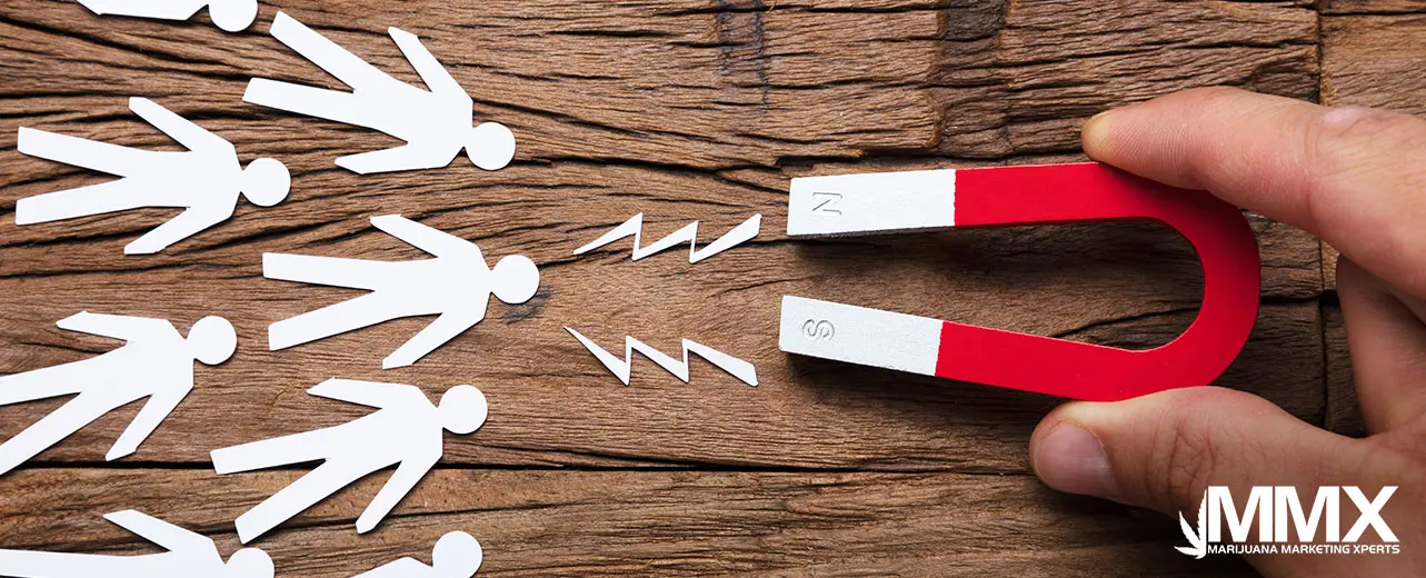 h2-Use Lead Magnets and CBD Content Marketing