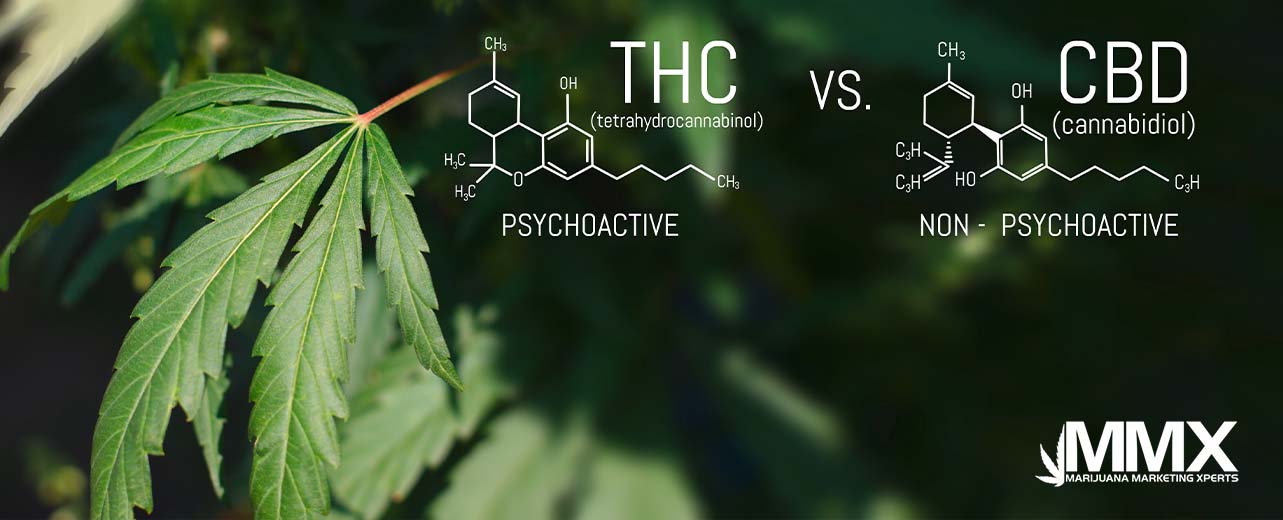 H2-CBD vs THC
