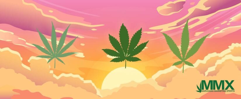 Best Cannabis Strains For Morning