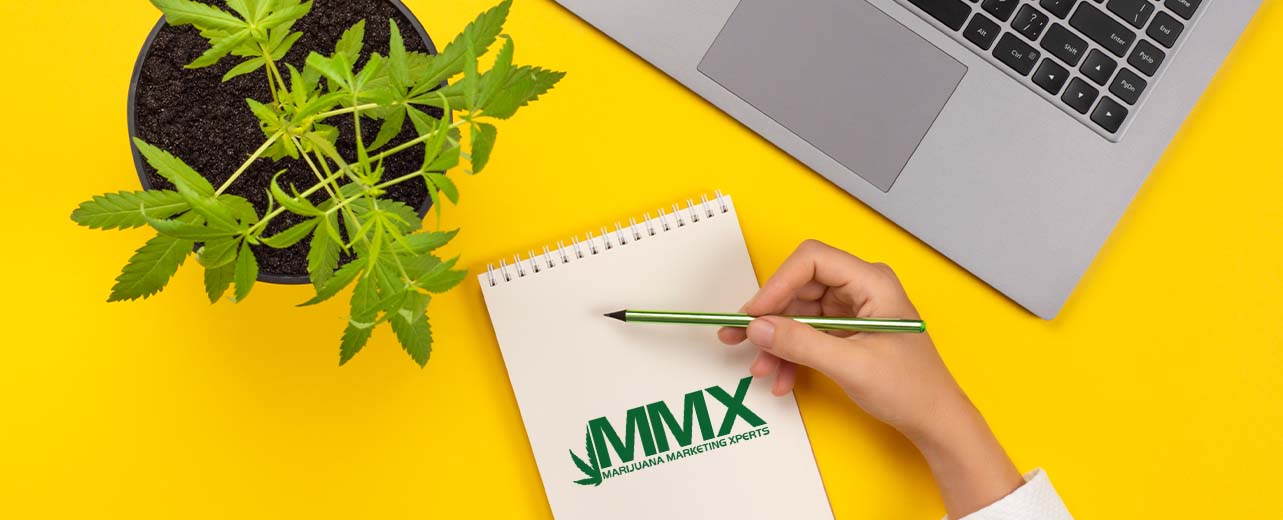 Learn More About the Legal Cannabis Industry Now