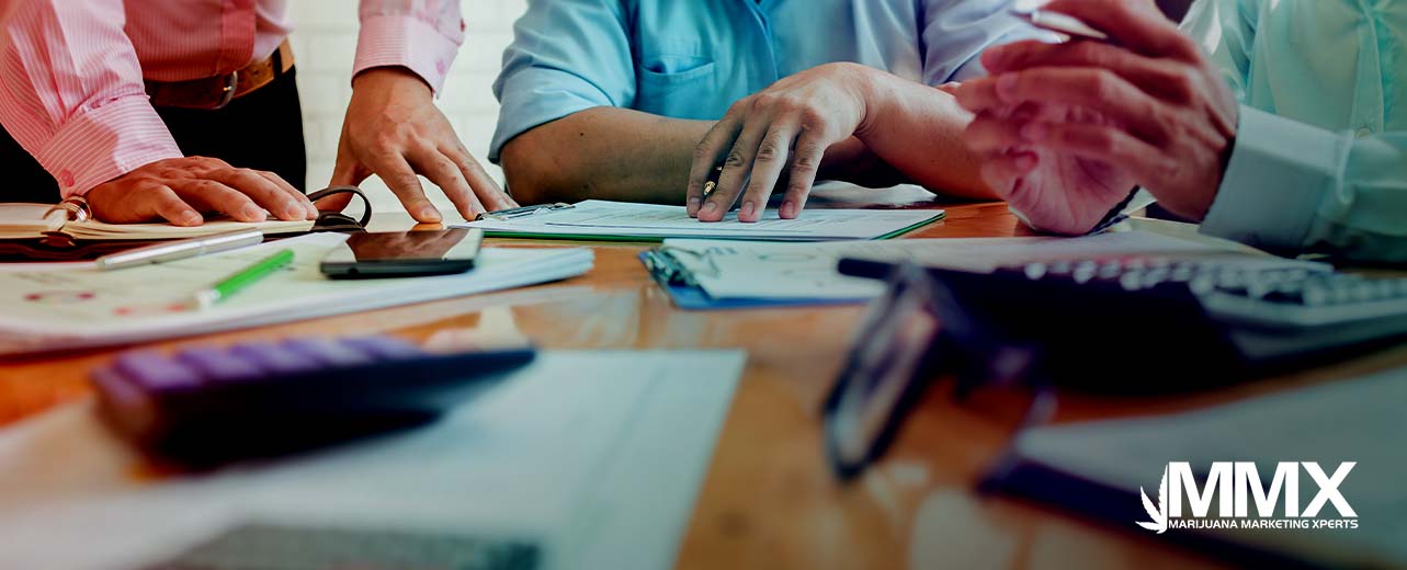 Start Your Cannabis Success Story with Help from Marijuana Marketing Xperts